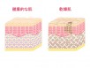 セラミド