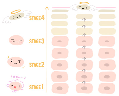 少しでも早くシミを薄くする鍵は「お肌のターンオーバー」