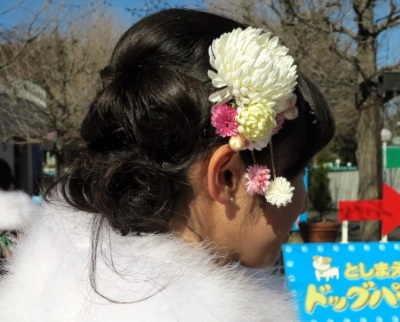 白いお花の髪飾りも根強い人気がありました。少しだけカラフルに、お花を散らしたスタイル。