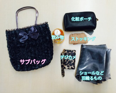 bag01