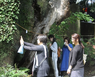 来宮神社の第二大楠