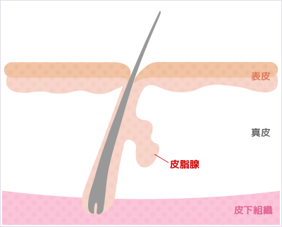 美容皮膚科医が教える、毛穴をひきしめる洗顔方法