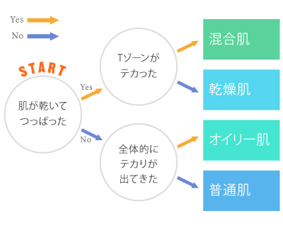 かんたん！洗顔後の肌で、セルフ肌質診断