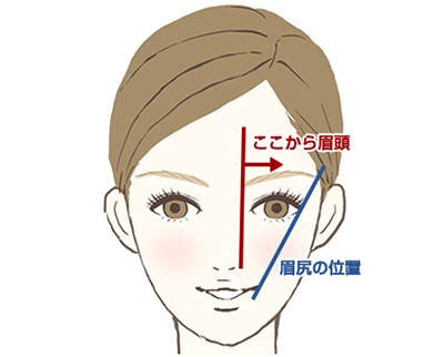 美しい眉の長さは、鼻と目尻の位置から考えるべし