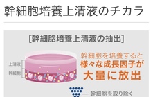 実力のフェザータッチのお顔剃りをお愉しみください