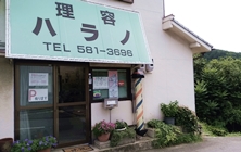 自然に囲まれた静かなお店です